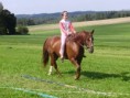 Janča